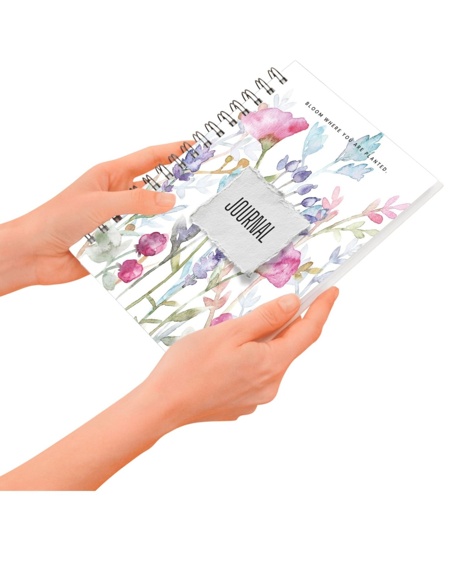 Journals & Notebooks