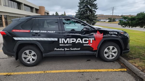 Vehicle Wrap